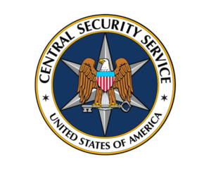 CSS Logo